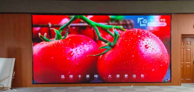 陽明小學(xué)p2.5